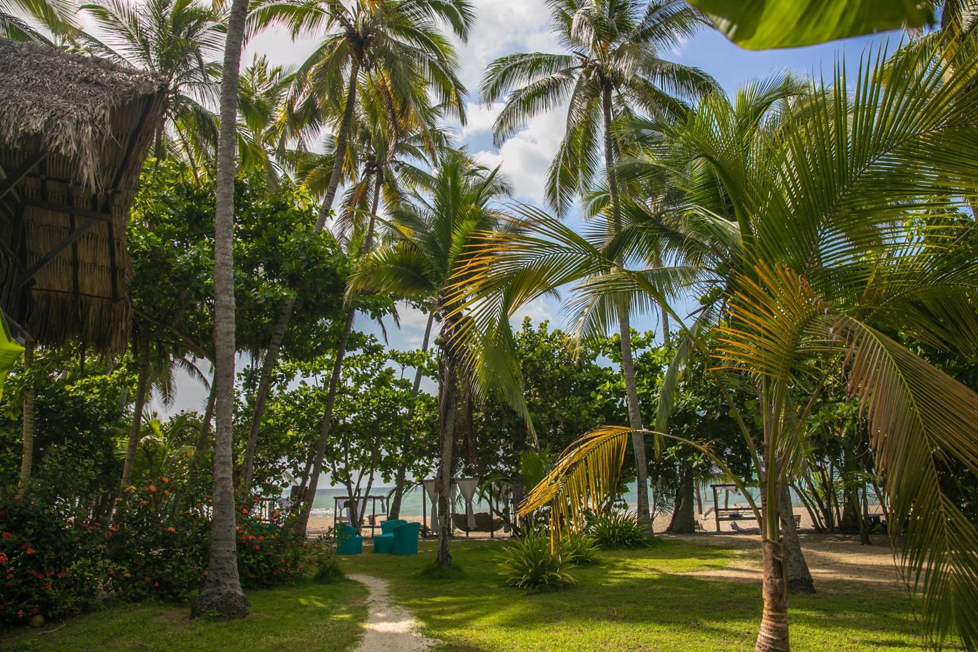 Sublime Ecohotel - Tayrona Palomino Buitenkant foto
